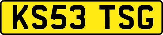 KS53TSG