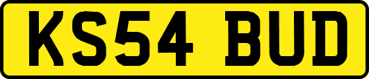 KS54BUD