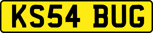 KS54BUG