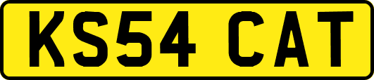 KS54CAT