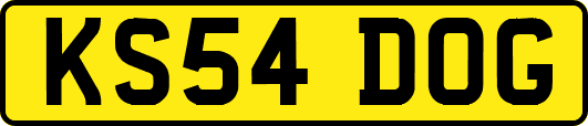 KS54DOG