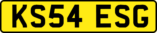 KS54ESG