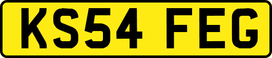 KS54FEG