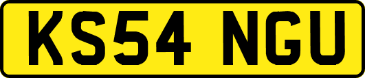 KS54NGU