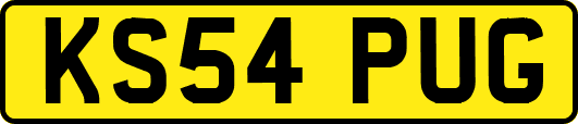 KS54PUG