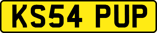 KS54PUP