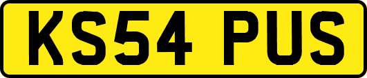 KS54PUS