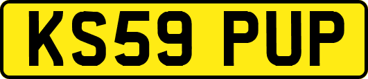 KS59PUP
