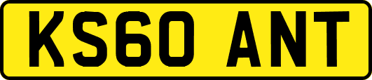 KS60ANT
