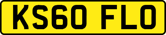 KS60FLO
