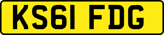 KS61FDG