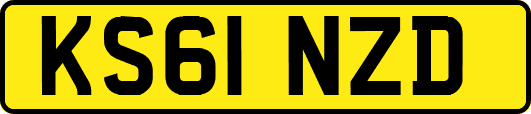 KS61NZD