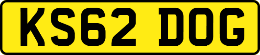 KS62DOG