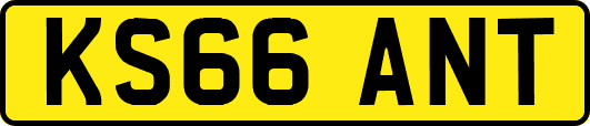 KS66ANT