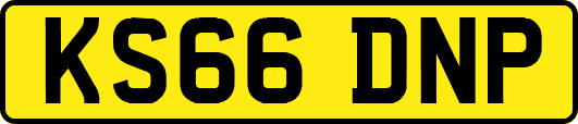 KS66DNP
