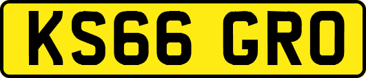 KS66GRO