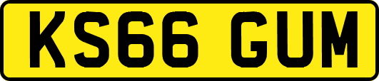 KS66GUM