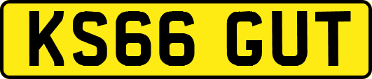 KS66GUT