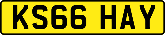 KS66HAY