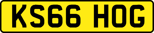 KS66HOG
