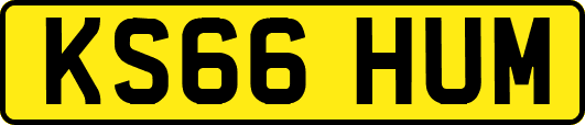 KS66HUM