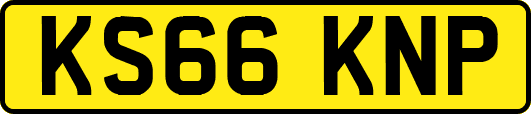 KS66KNP