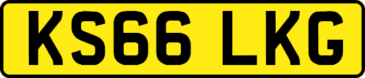 KS66LKG