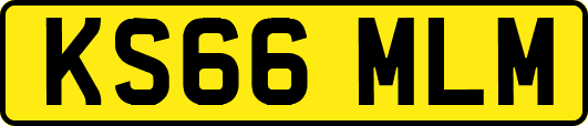 KS66MLM