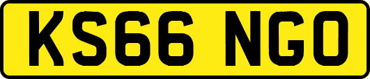 KS66NGO