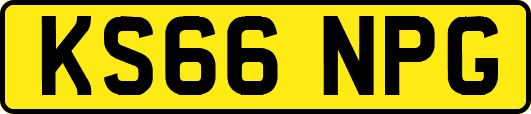 KS66NPG