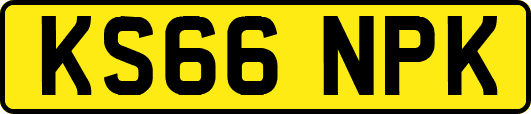 KS66NPK