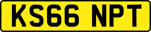 KS66NPT
