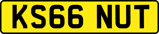 KS66NUT
