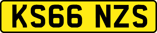 KS66NZS