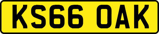 KS66OAK