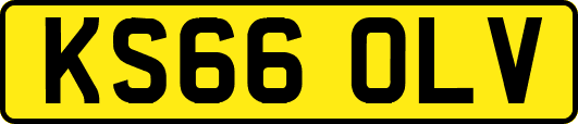 KS66OLV