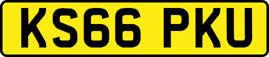 KS66PKU
