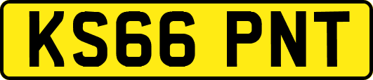 KS66PNT