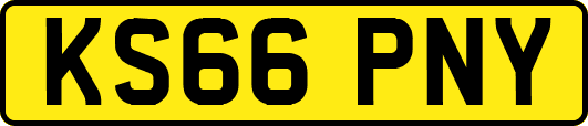 KS66PNY
