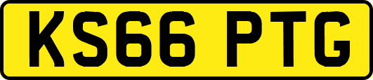 KS66PTG