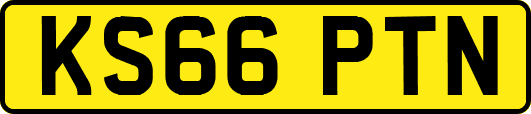 KS66PTN