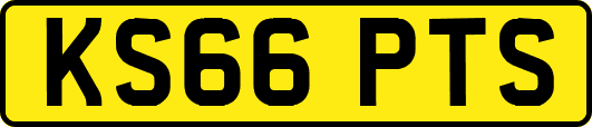 KS66PTS