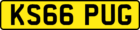 KS66PUG