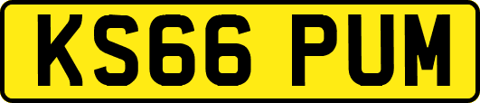KS66PUM