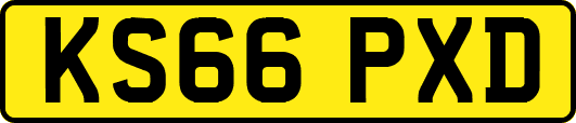 KS66PXD