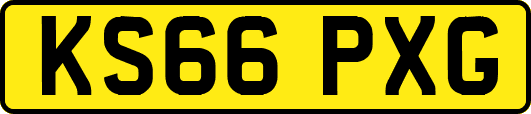 KS66PXG