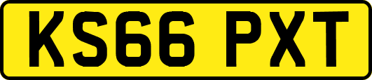 KS66PXT