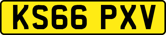 KS66PXV