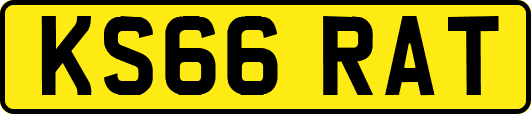 KS66RAT