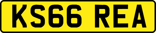 KS66REA